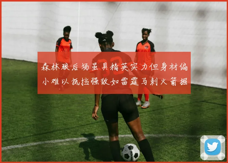 森林狼后场虽具精英实力但身材偏小难以抵挡强敌如雷霆马刺火箭掘金